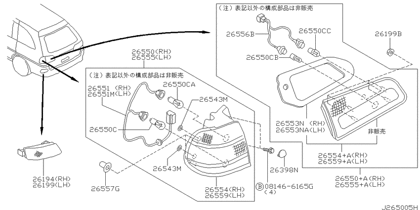 Rear combination lamp