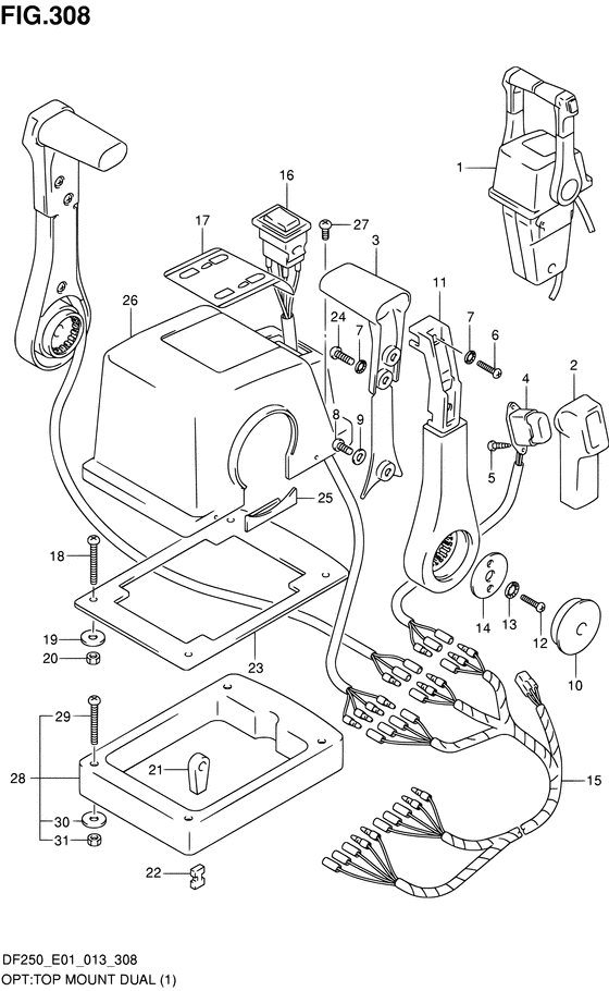 Opt:top mount dual