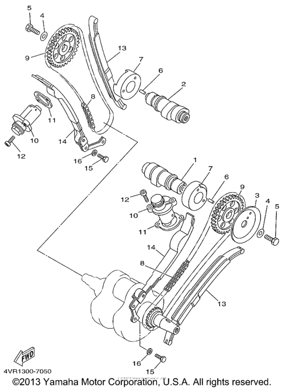 Camshaft & chain