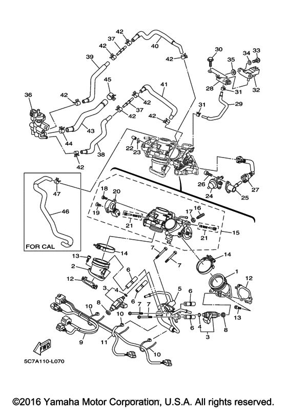 Intake