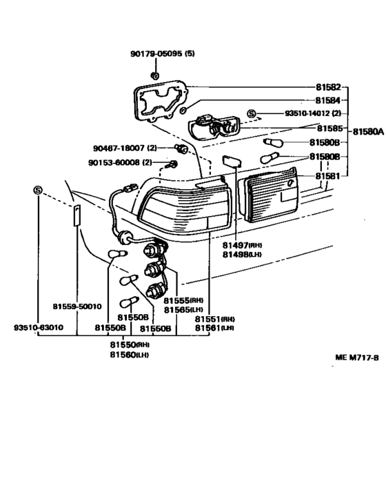 Rear Combination Lamp