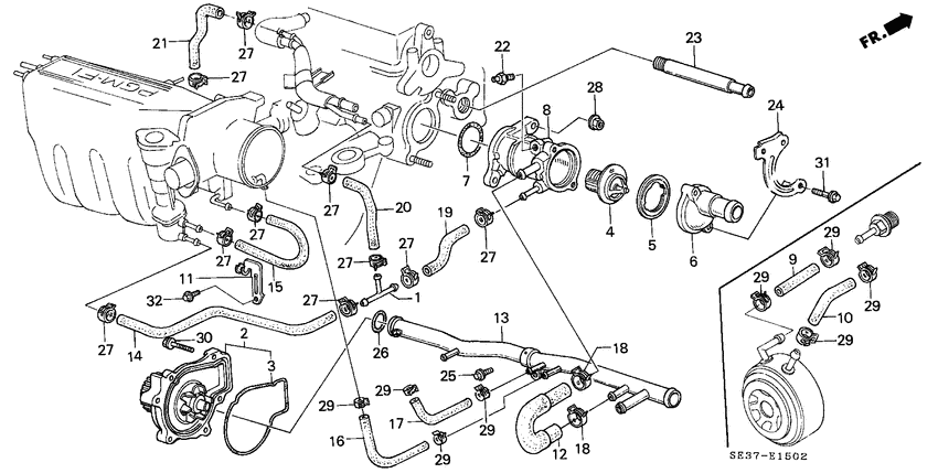 Water pump/thermostat