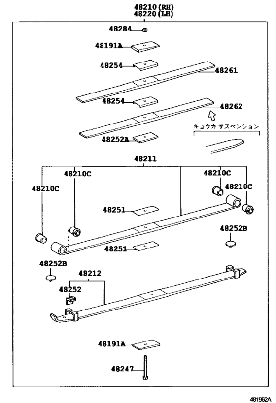 Rear Spring & Shock Absorber