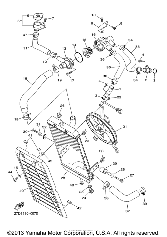 Radiator & hose