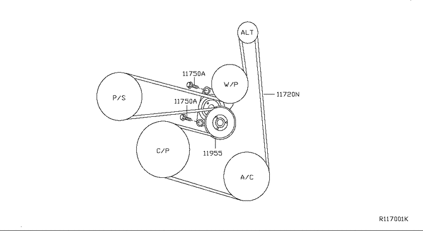 Fan,compressor & power steering belt