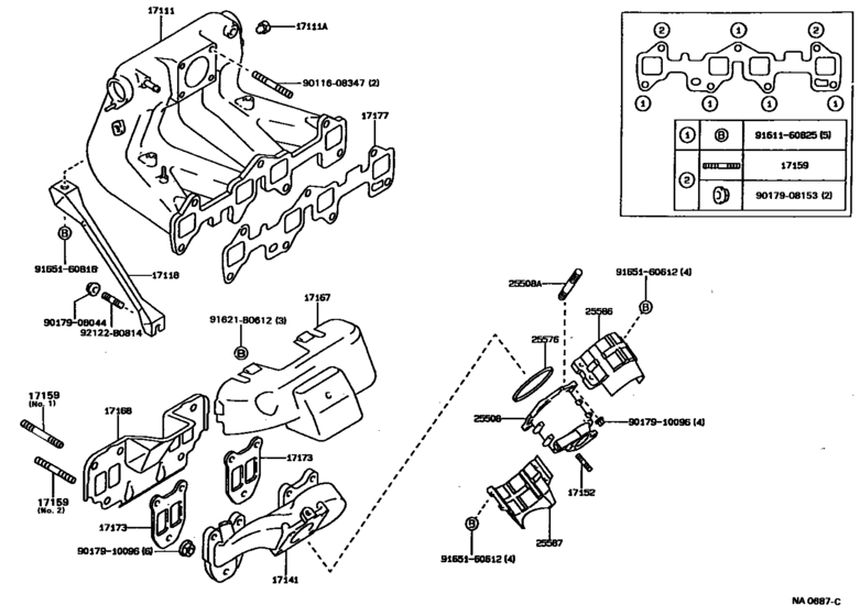 Manifold