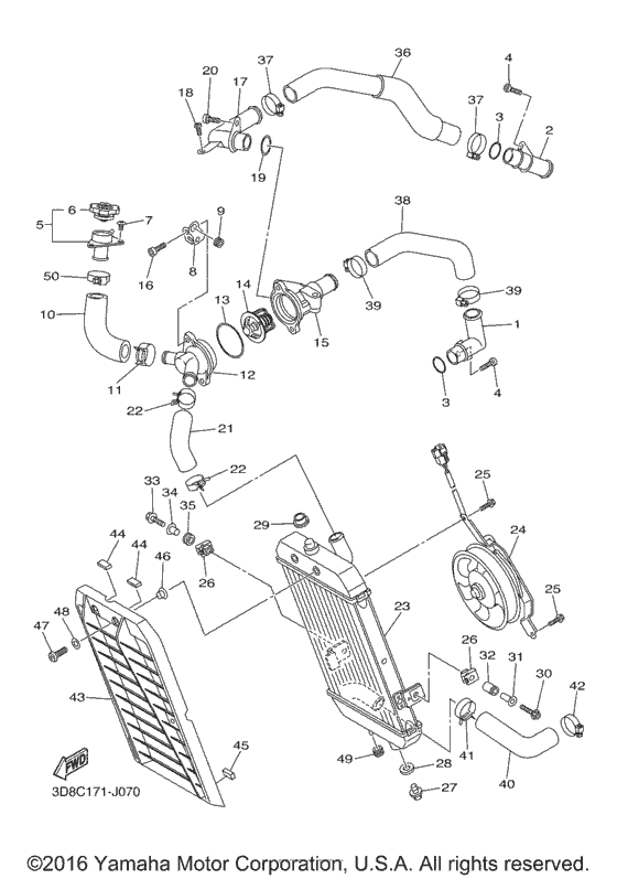 Radiator & hose