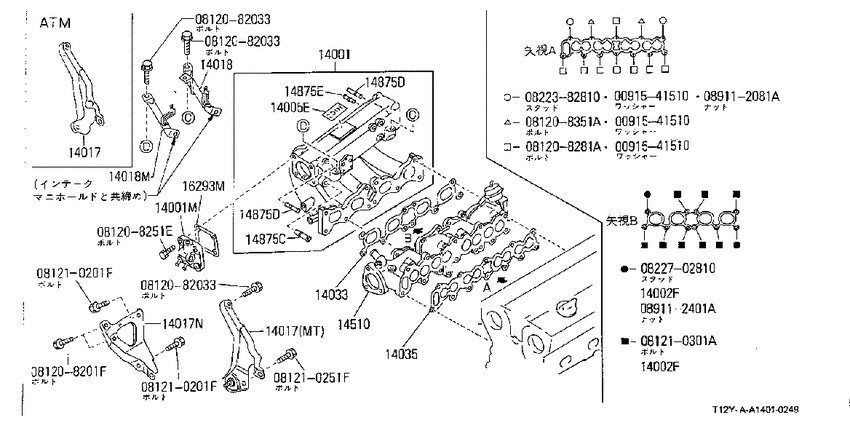 Manifold