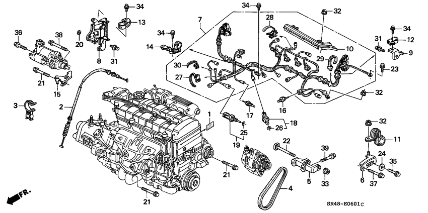 Engine wire harness/clamp
