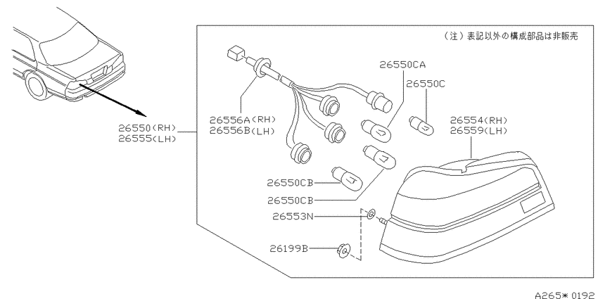 Rear combination lamp
