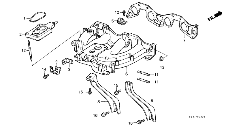 Carburetor insulator/ intake manifold