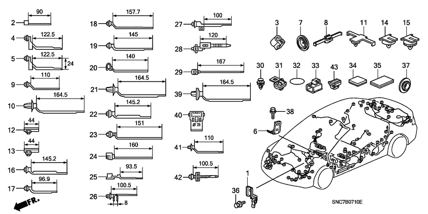 Harness band/bracket
