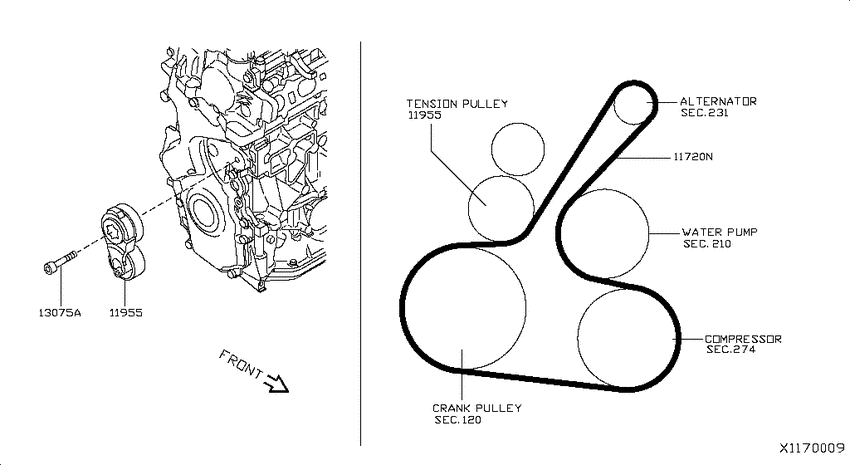 Fan,compressor & power steering belt