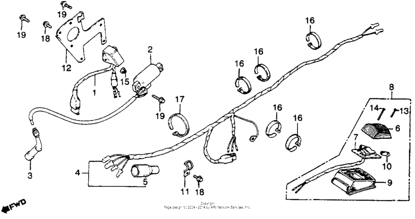 Wire harness + taillight