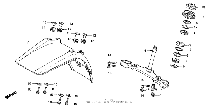 Front fender + steering stem