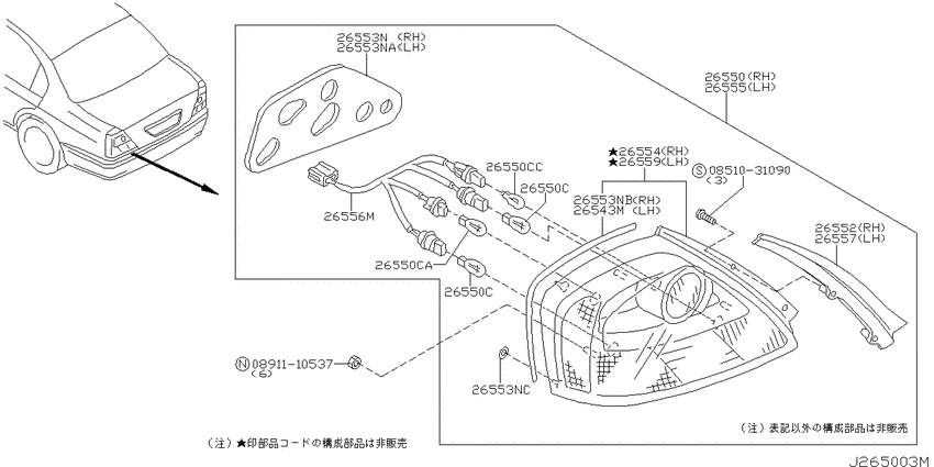 Rear combination lamp