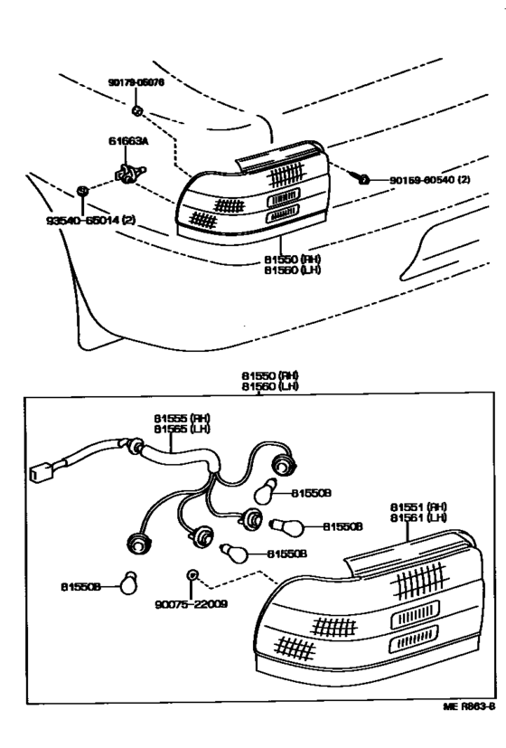 Rear Combination Lamp