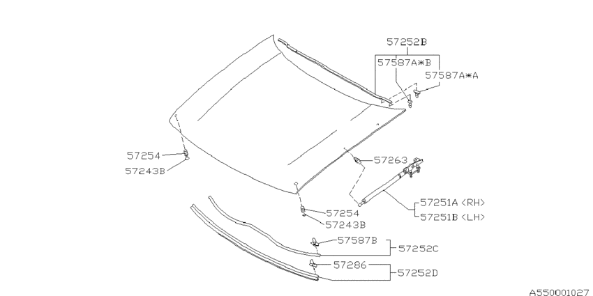 Front hood & front hood lock