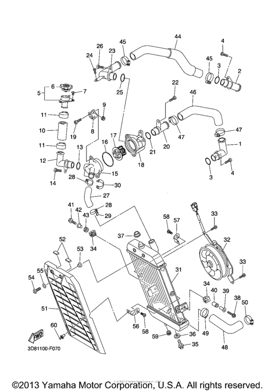 Radiator & hose