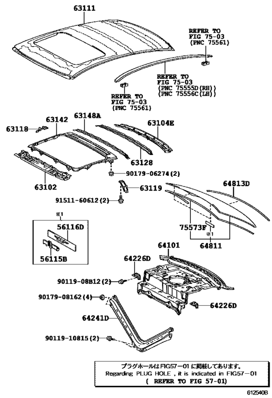 Roof Panel & Back Window Glass