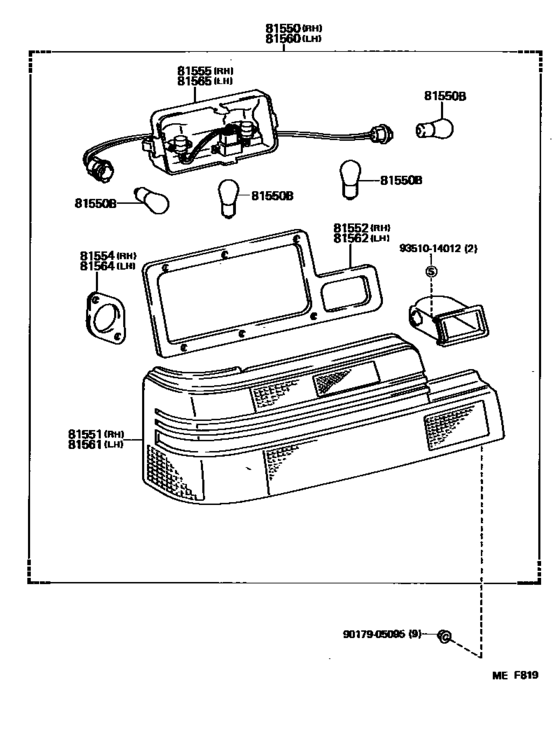 Rear Combination Lamp