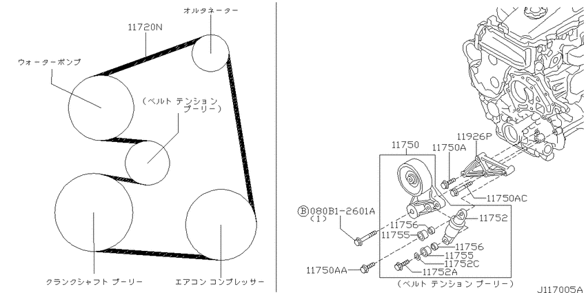 Fan,compressor & power steering belt