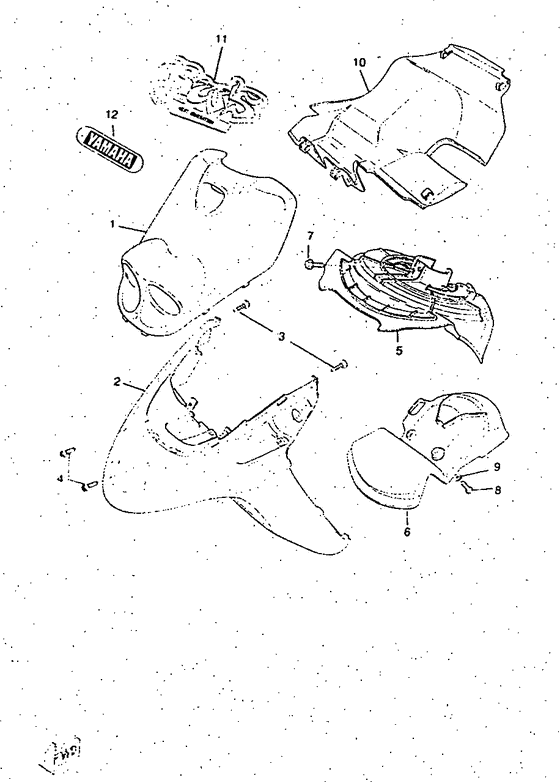 Fender