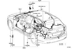 Wiring & Clamp