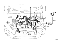 Wiring & Clamp