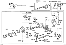 Rear Axle Housing & Differential