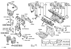 Manifold