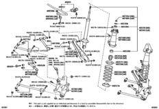 Rear Spring & Shock Absorber