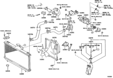 Radiator & Water Outlet