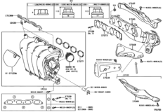 Manifold
