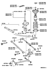 Rear Spring & Shock Absorber