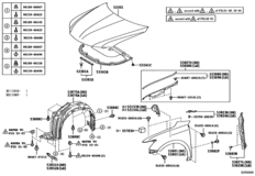 Hood & Front Fender