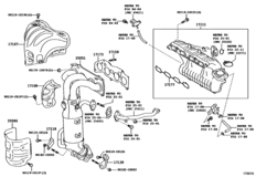 Manifold