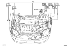 Wiring & Clamp