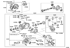 Rear Axle Housing & Differential