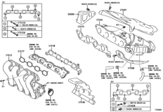 Manifold