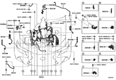 Wiring & Clamp