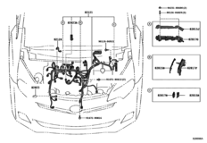 Wiring & Clamp
