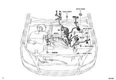 Wiring & Clamp