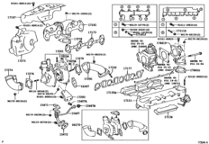 Manifold
