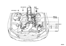 Wiring & Clamp