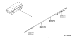 Body side moulding