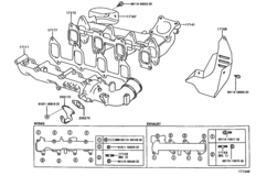 Manifold