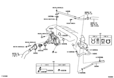 Radiator & Water Outlet