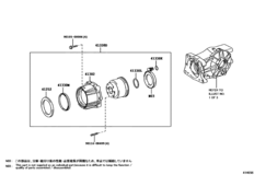 Rear Axle Housing & Differential