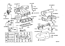 Manifold